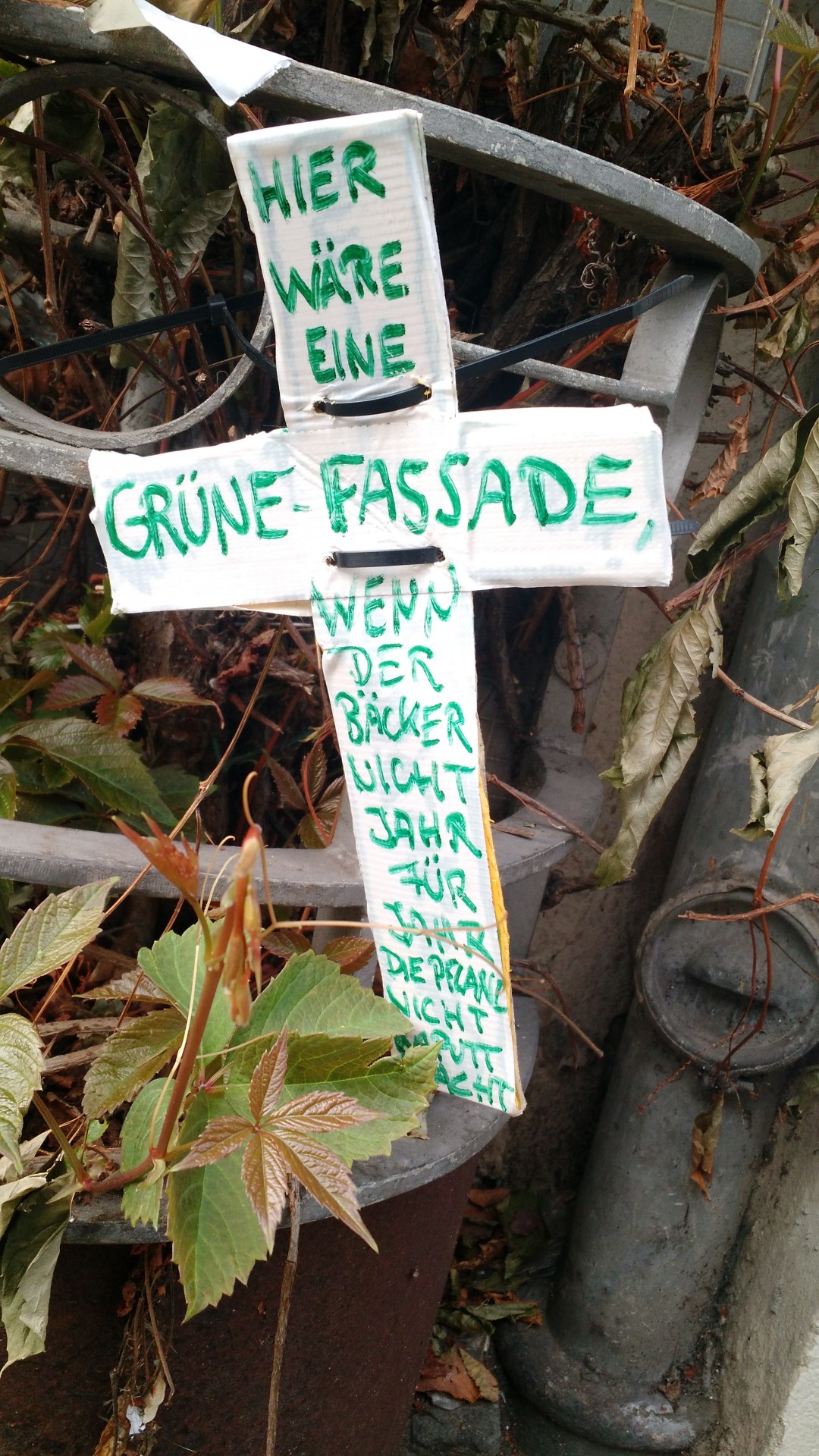 Grune Fassade